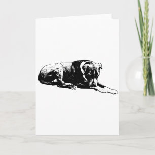 Rensa Gaze-Hund-kort Kort