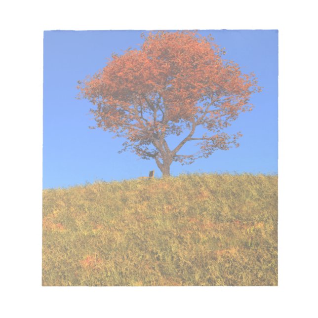 Rensa höstdagen, Anteckningsblock (Framsida)