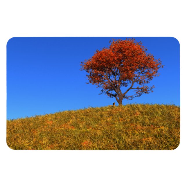 Rensa höstdagens flexibla magnet (Horisontell)