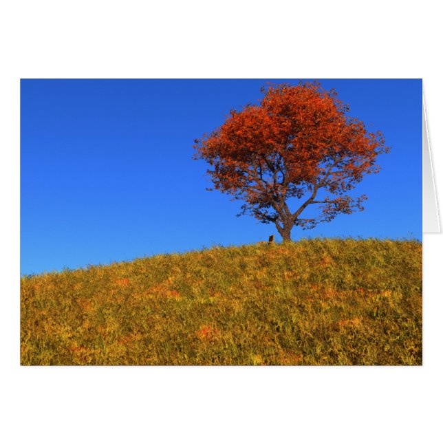 Rensa höstdagskort hälsningskort (Framsidan Horizontal)