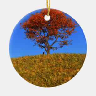 Rensa ornament på höstdagen