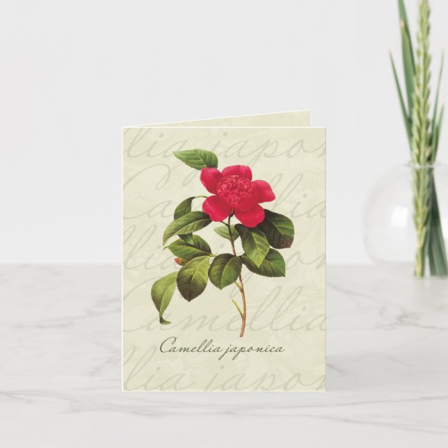 Rensa Red Camellia Botanical Print Note Card Kort (Framsida)