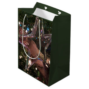 Rensa shining Star Ornament Photography