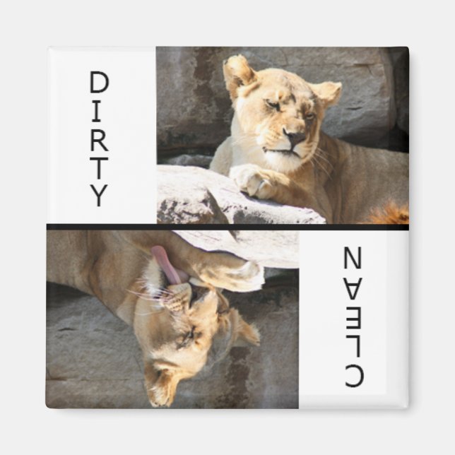 Rensa smutsig lioness magnet (Framsidan)