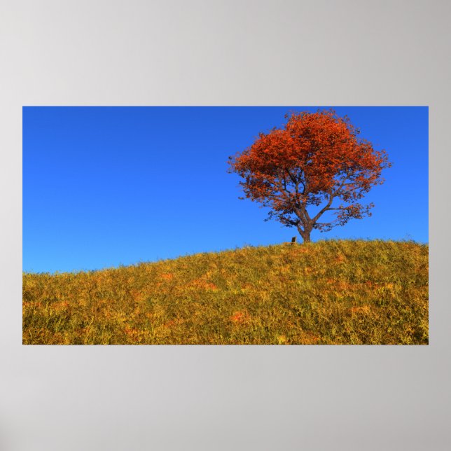 Rensa utskrift på höstdagen poster (Framsidan)