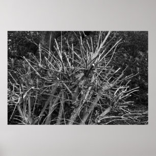 Rensad Shrub Poster