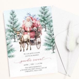 Renskötare Tomte Sleigh Jul Köns Upptäckt Inbjudningar