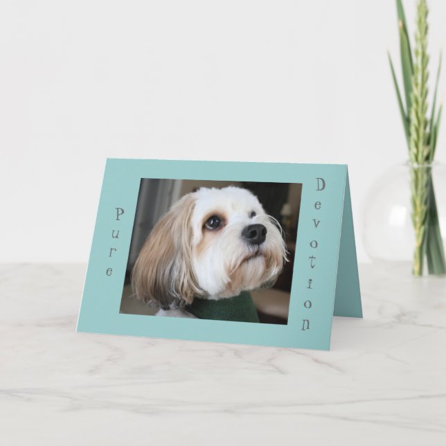 Rent fromhetkort kort (Framsida)