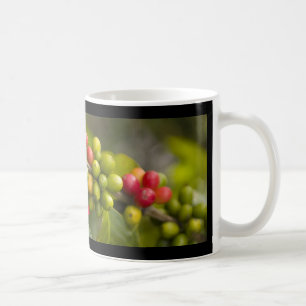 RENT KONA-KAFFE KAFFEMUGG