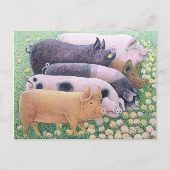 Rent nöje vykort (Framsida)