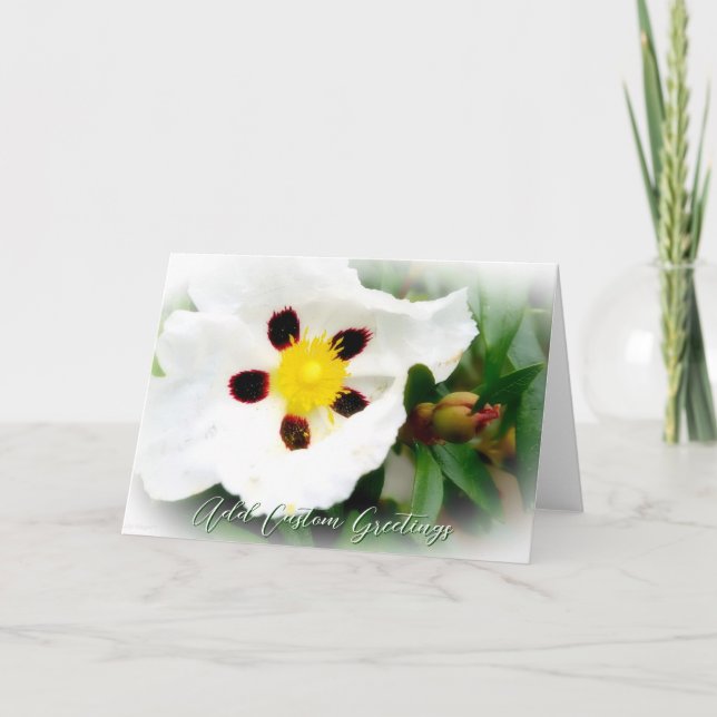Rent vitt och ljust färgkort för Blommar Kort (Framsida)
