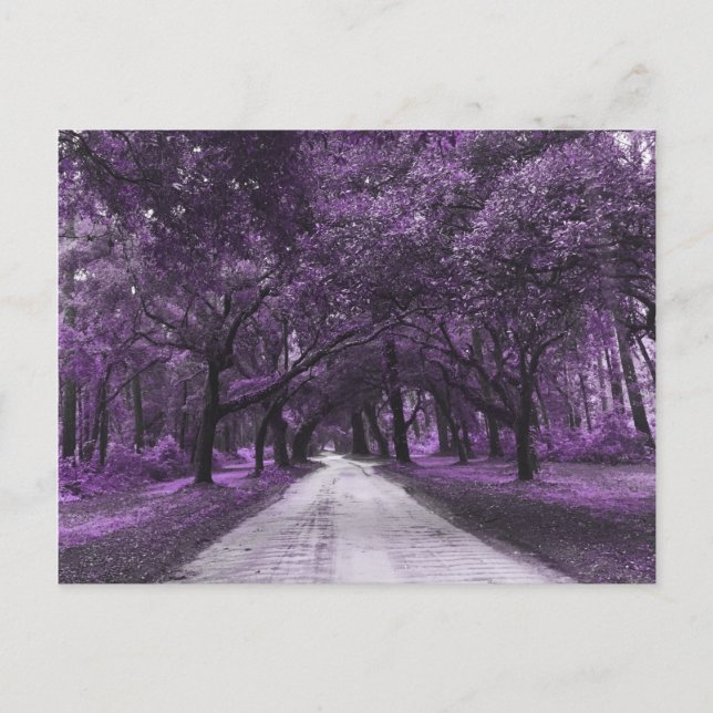 rent vykort (Framsida)