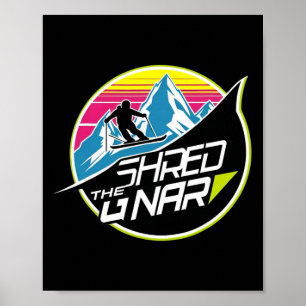 Repa Gnar Skidåkning Freestyle Diamond Vinter T-sh Poster