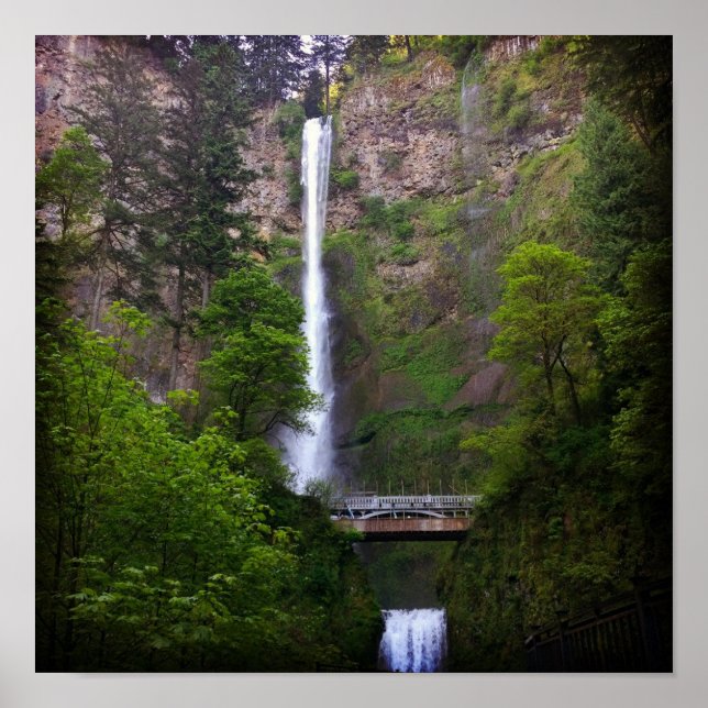 Reparation av Multnomah Falls-brygga Poster (Framsidan)