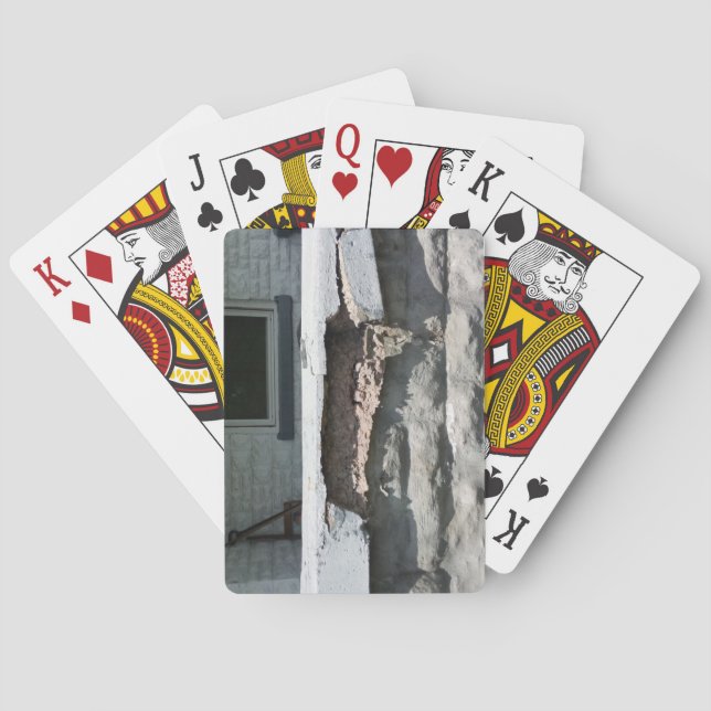 Reparationsbehov Casinokort (Baksidan)