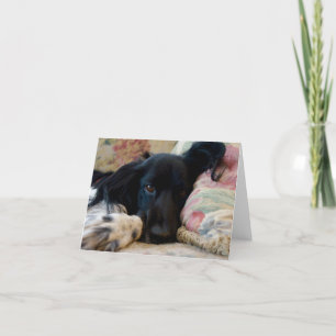 Reparera Brittany hund notecard Kort