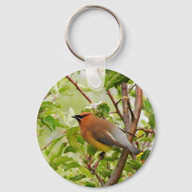 Reparera Cedar Waxwing Nyckelring (Framsida)