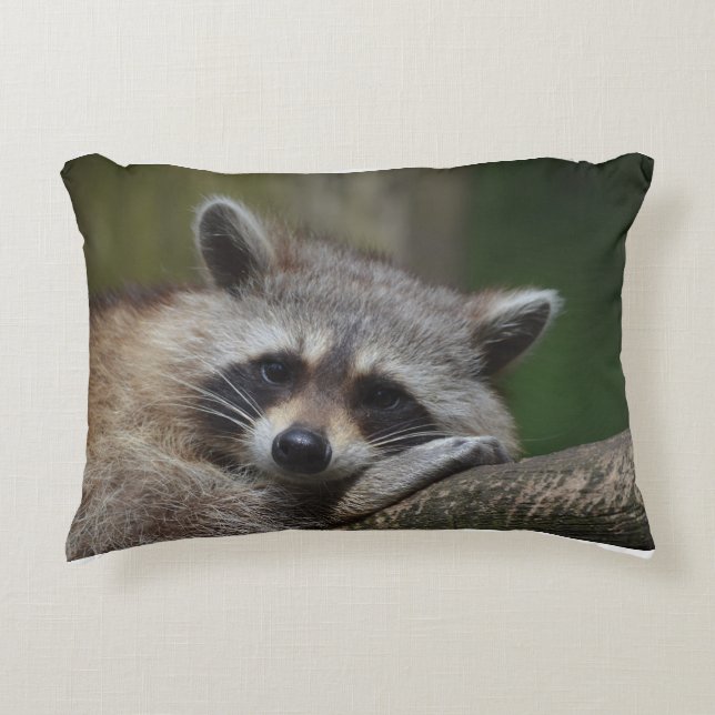 Reparera Raccoon Prydnadskudde (Framsidan)