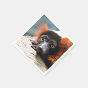 Reparera röd ruffed Lemur Pappersservett