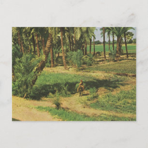 Replikeringens Vintage Egypten, Nildeltajordbruk Vykort