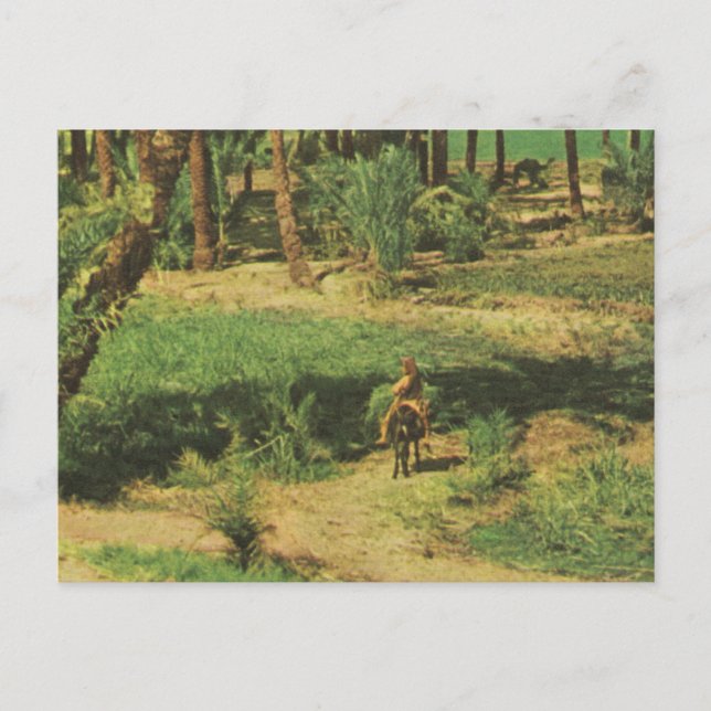 Replikeringens Vintage Egypten, Nildeltajordbruk Vykort (Framsida)