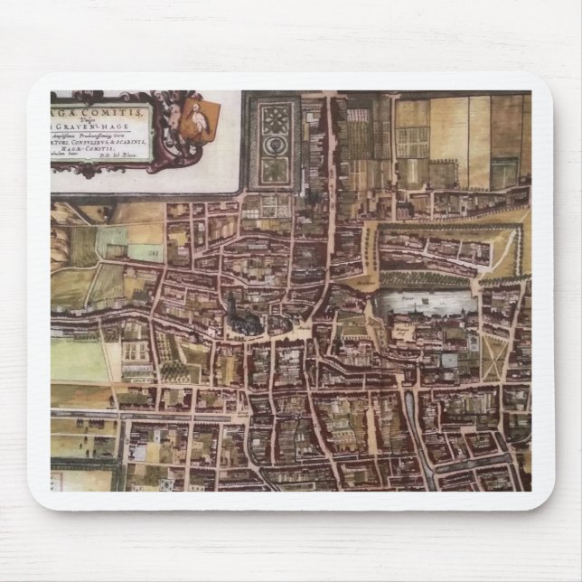 Replikstaden karta i Haag 1649 Musmatta (Framsidan)