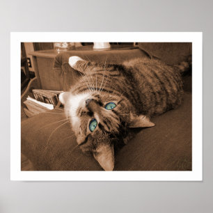 Repose i Twill Poster