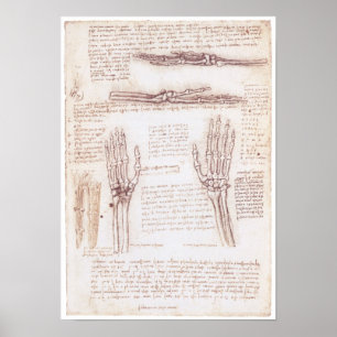 Representation of the Hand, Leonardo da Vinci Poster