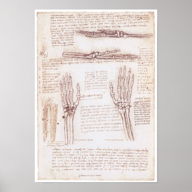 Representation of the Hand, Leonardo da Vinci Poster (Framsidan)