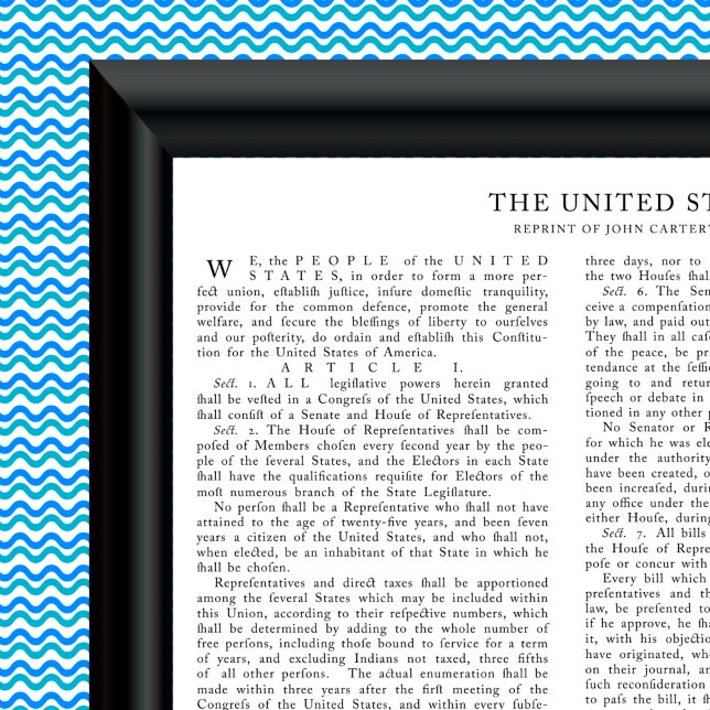 Reprint of John Carter, USA:s konstitution Poster (Skapare uppladdad)