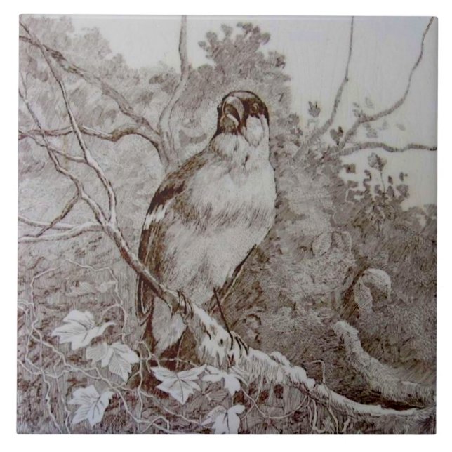 Repro 1886 Minton Sepia Transferware Bird Art TIle Kakelplatta (Framsidan)