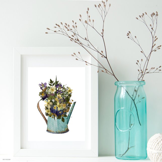 Reproduktion av pressade blommor i vattenburkar poster (Skapare uppladdad)