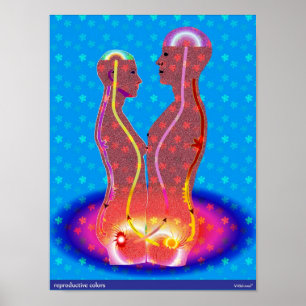 Reproduktiva färger poster
