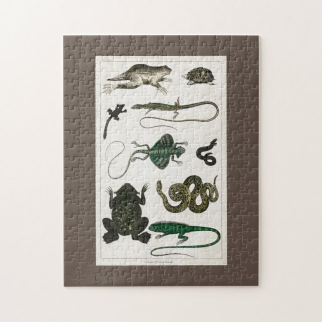 reptil, söt, ödla, djur, reptiler, sköldpadda pussel (Vertikal)