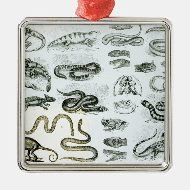 Reptilar, ormar och ödlor julgransprydnad metall (Framsidan)