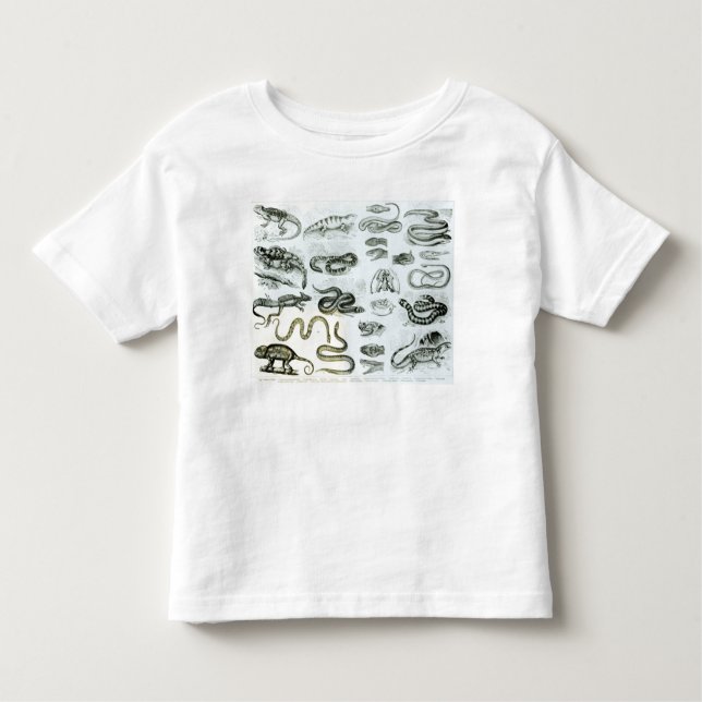Reptilar, ormar och ödlor t-shirt (Framsida)