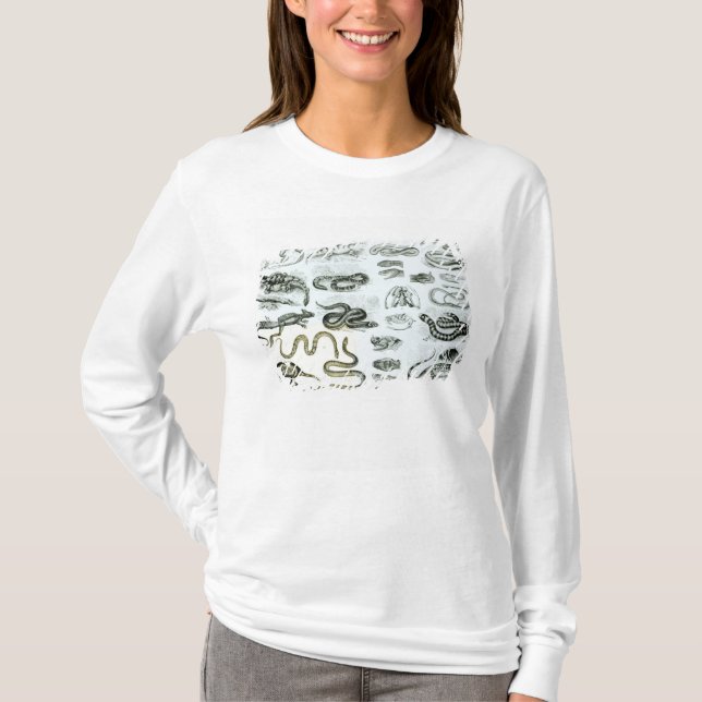 Reptilar, ormar och ödlor tee (Framsida)