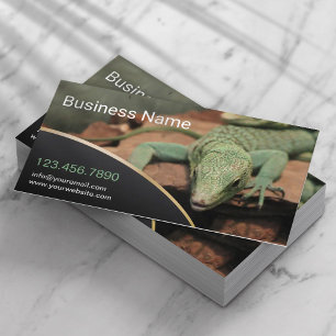 Reptile Lizard Live Pet Store-Professionell Visitkort