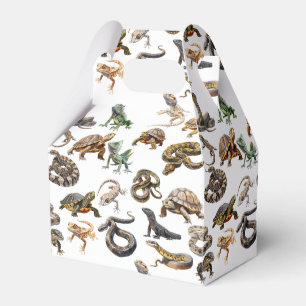 Reptile Snake Lizard sköldpadda (Mönster) Presentaskar