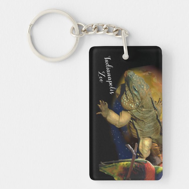 Reptiler och fåglar från Indianapolis Zoo (Framsidan)