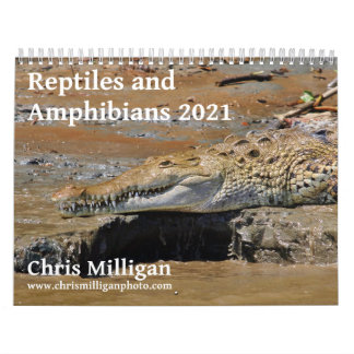 Reptiler och groddjur 2021 av Chris Milligan Kalender