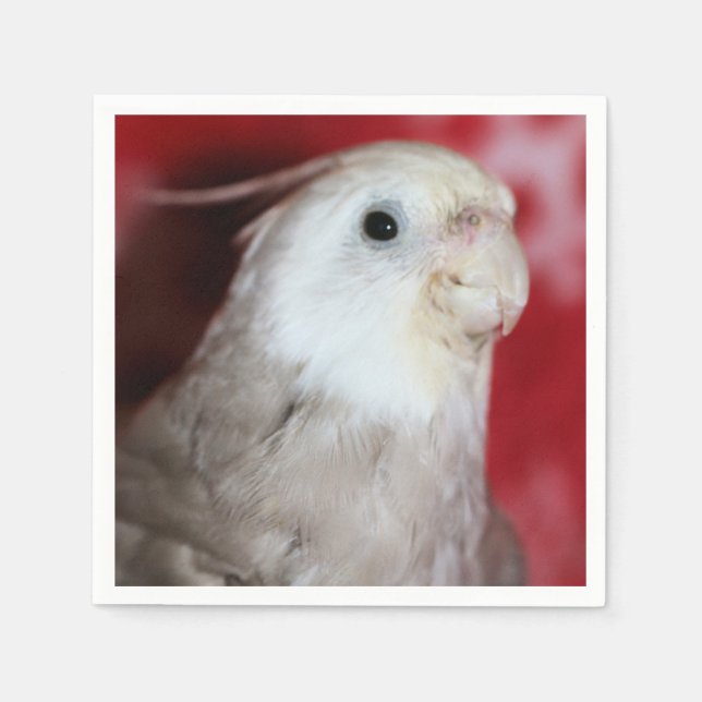 Reptiler Pappersservett (Framsidan)