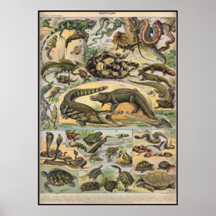 Reptiler Poster