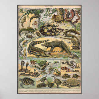 Reptiler Poster
