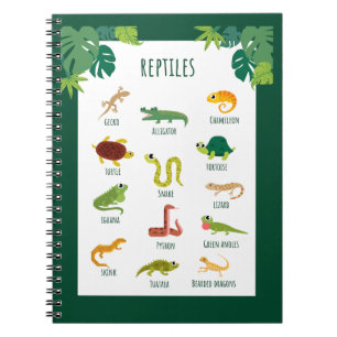 Reptiler School Education Learning Anteckningsbok