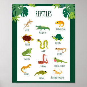 Reptiler School Education Learning Poster