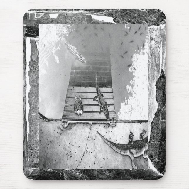 Reptiles Bvävning Musmatta (Framsidan)