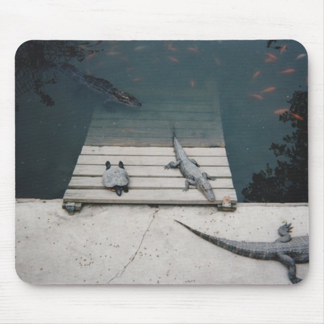 Reptiles Bvävning Musmatta (Framsidan)