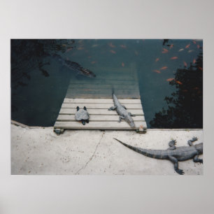 Reptiles Bvävning Poster