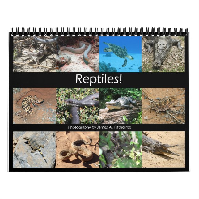Reptiles Wall Calendar av J.W. Faderträdet. Kalender (Omslag)